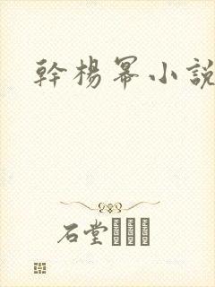 干杨幂小说封面