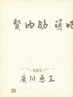 贤内助 萌吧啦封面