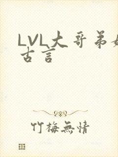 LVL大哥弟媳古言封面