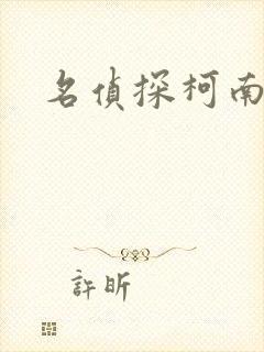 名侦探柯南h封面