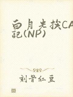 白月光挨CAO记(NP)