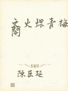 文火煨青梅笔趣阁封面