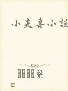 小夫妻小说