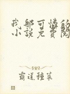 我那可怜的妈妈小说免费阅读