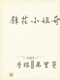 壁花小姐奇遇记