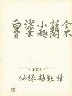 白洁小说全文免费笔趣阁不知所措封面