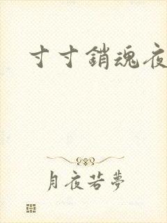 寸寸销魂夜春光封面