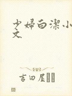 少妇白洁小说全文封面