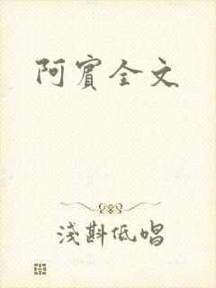 阿宾全文