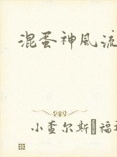 混蛋神风流记