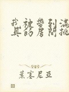 我被带到满是玩具的房间挑调游戏