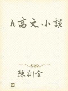 h高文小说