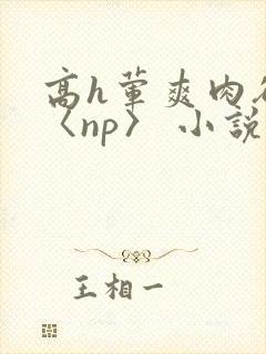 高h荤爽肉欲文〈np〉 小说