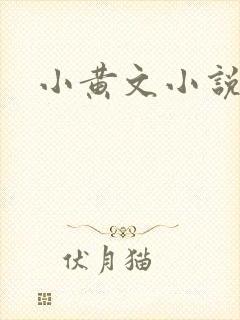 小黄文小说