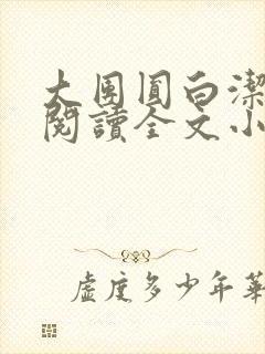 大团圆白洁免费阅读全文小说