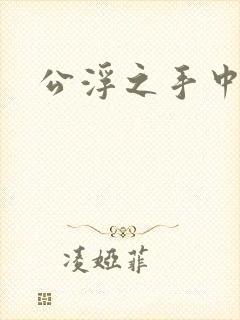 公浮之手中字5