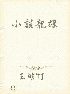 小说龙根