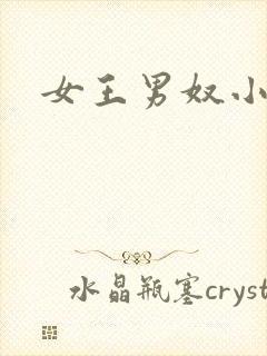 女王男奴小说