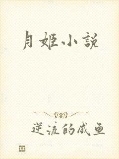 月姬小说