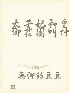 太子妃和皇帝在御花园叫什么小说