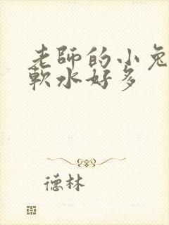 老师的小兔子好软水好多封面