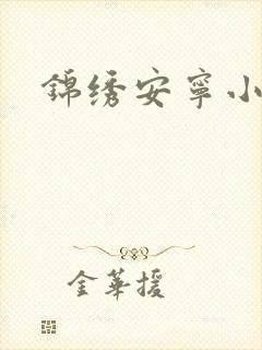 锦绣安宁小说封面