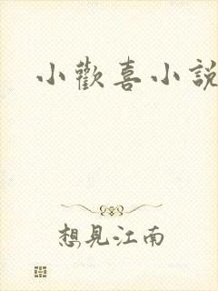 小欢喜小说