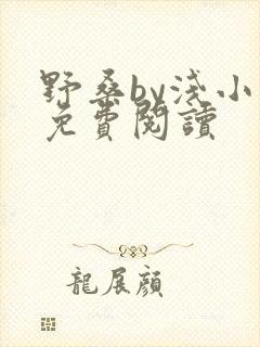 野桑by浅小说免费阅读