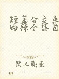 短篇公交车高h肉辣全集目录