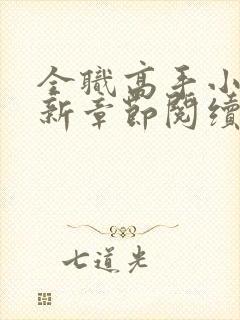 全职高手小说最新章节阅续