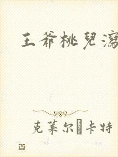 王爷桃儿泻了封面