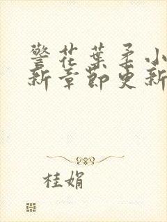 警花叶柔小说最新章节更新