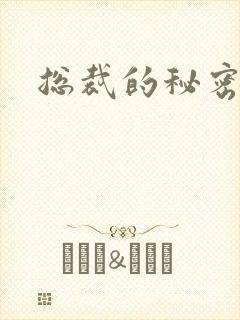 总裁的秘密情人