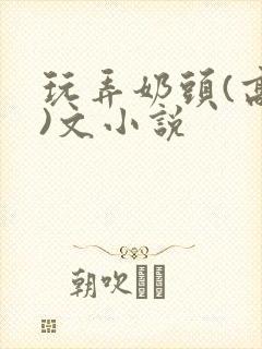 玩弄奶头(高h)文小说封面