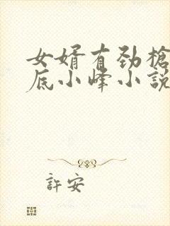 女婿有劲枪枪到底小峰小说