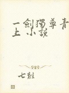 一剑独尊青鸾峰上 小说