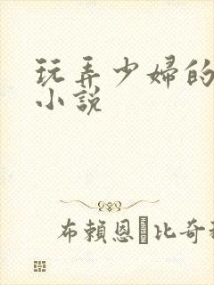 玩弄少妇的悲哀小说