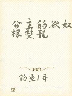 公主的欲奴h四根双龙封面