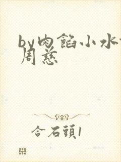 by肉馅小水饺周慈