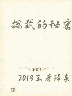 总裁的秘密情人