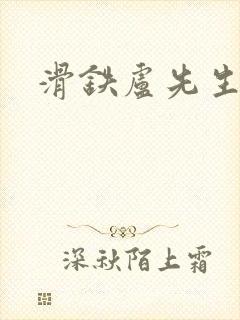 滑铁卢先生封面