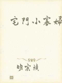 宅门小寡妇封面