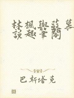 林枫与苏慕白小说趣笔阁封面