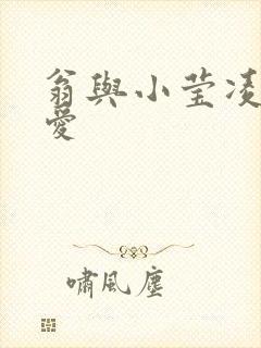 翁与小莹凌晨欢爱封面