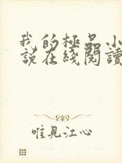 我的极品小姨小说在线阅读全文免费