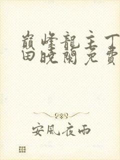巅峰龙主丁长顺田晓兰免费阅读