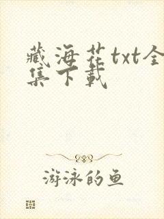 藏海花txt全集下载封面