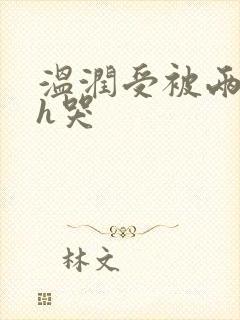 温润受被两个攻h哭封面