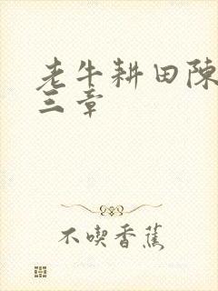 老牛耕田陈雪第三章