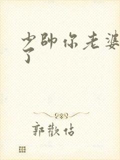 少帅你老婆又跑了封面